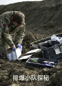 排爆小队探秘