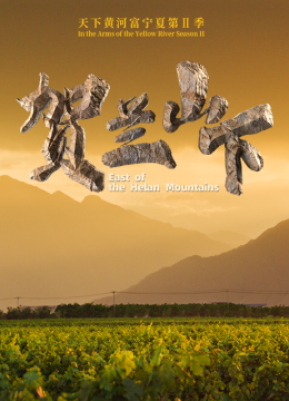 天下黄河富宁夏第2季