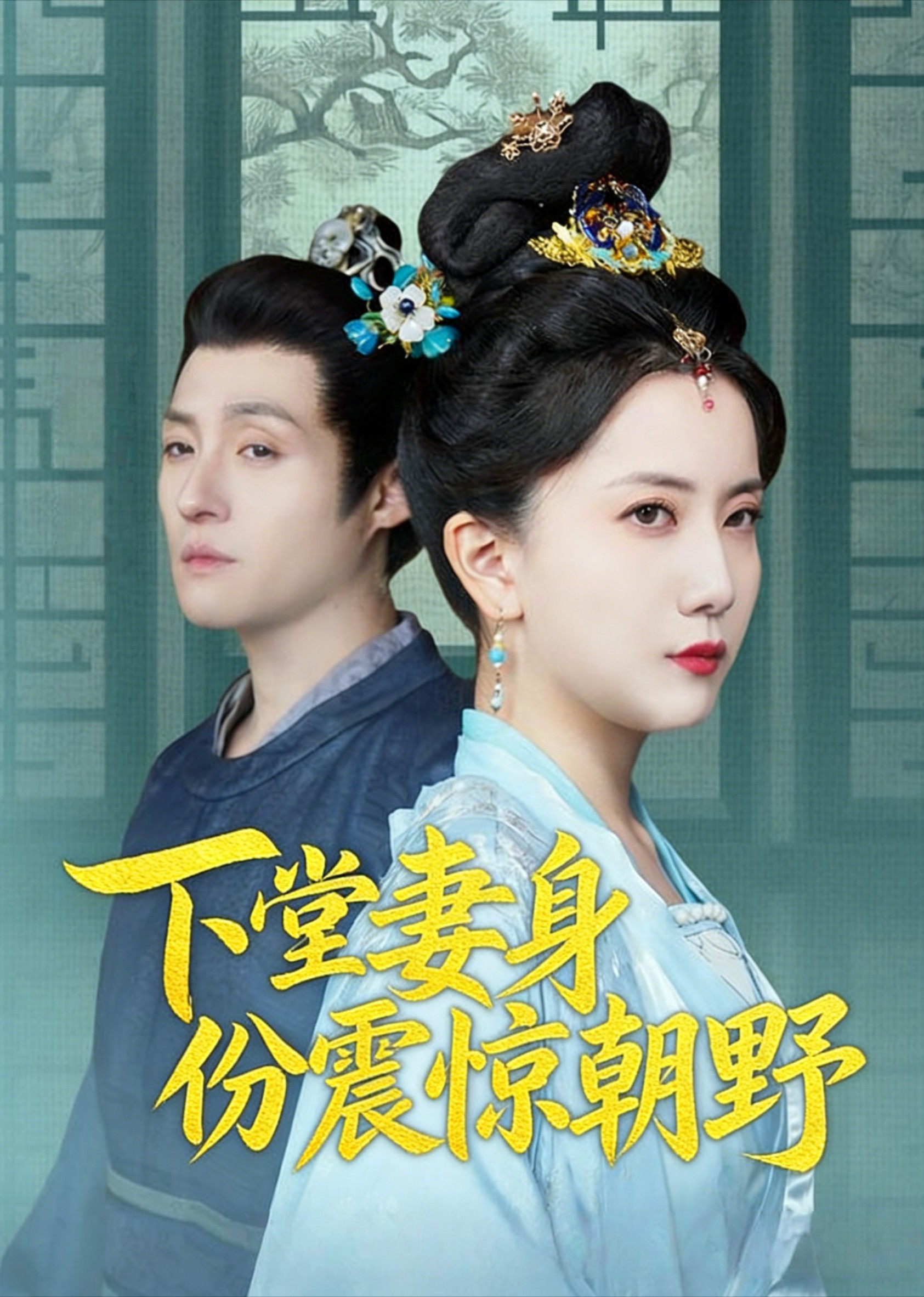 下堂妻身份震惊朝野