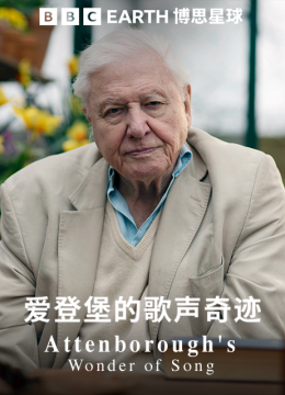 爱登堡的歌声奇迹