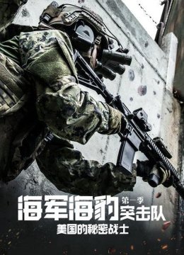 海军海豹突击队美国的秘密战士