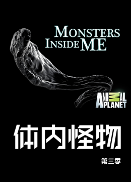 体内怪物第3季
