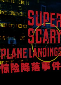 惊险降落事件