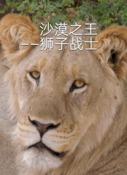 沙漠之王狮子战士