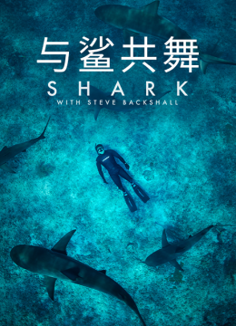与鲨共舞