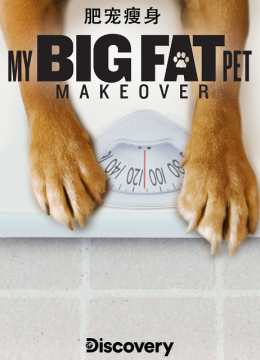 肥宠瘦身