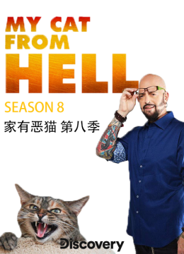 家有恶猫第8季