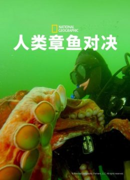 人与章鱼的美妙邂逅