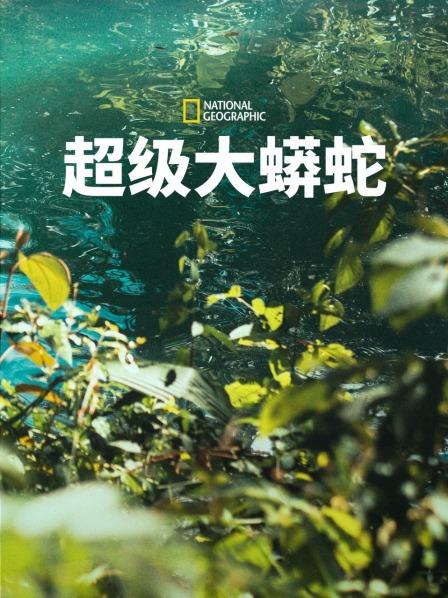 沉默而致命的掠食者