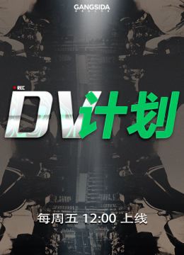 DV计划
