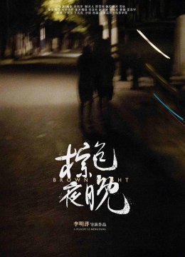 棕色夜晚