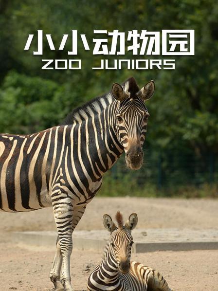 新生小犀牛与妈妈的温馨生活