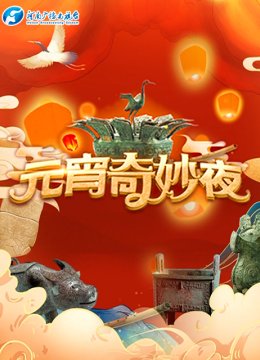 2021河南卫视元宵奇妙夜