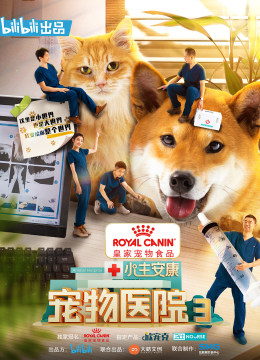 小主安康宠物医院3