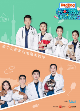 小主安康－宠物医院2