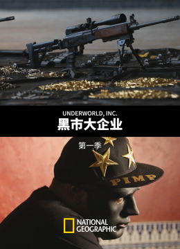 黑市大企业第1季