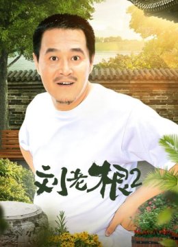 刘老根第二部