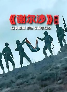 《谢尔沙》解读