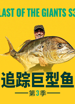 追踪巨型鱼第3季