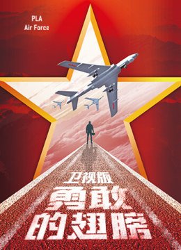 勇敢的翅膀卫视版