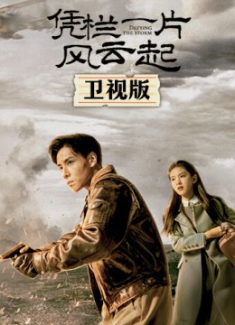 凭栏一片风云起卫视版