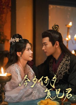 今夕何夕复见君