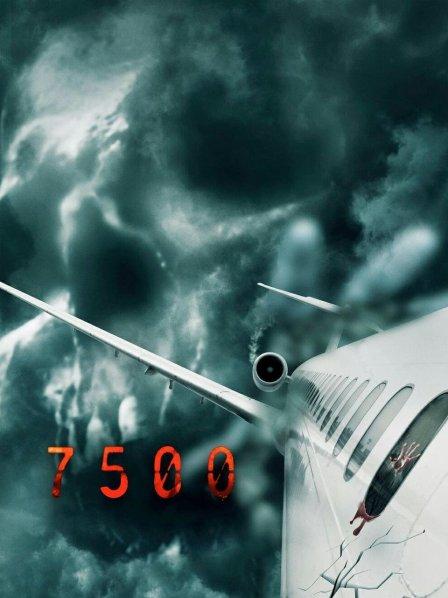 飞机遭遇恐怖事件，诡异身影令人尖叫连连