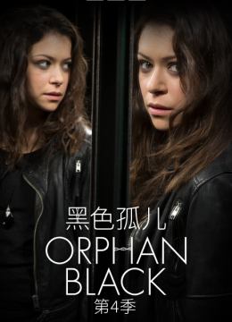 黑色孤儿第4季