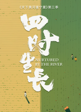 天下黄河富宁夏第3季