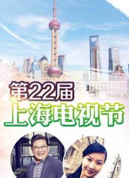 最佳大陆电视剧奖《芈月传》