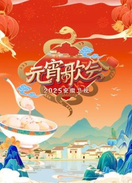安徽卫视元宵歌会2025