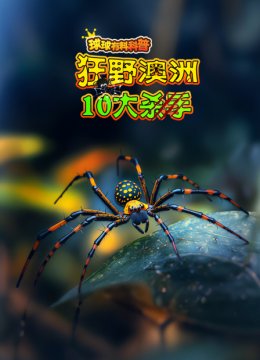 球球有料科普狂野澳洲10大杀手