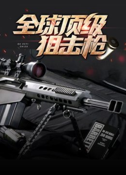 全球顶级狙击枪