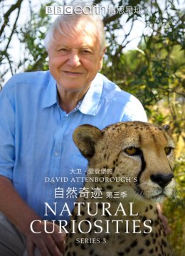 大卫爱登堡的自然奇迹第3季