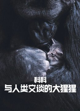科科与人类交谈的大猩猩