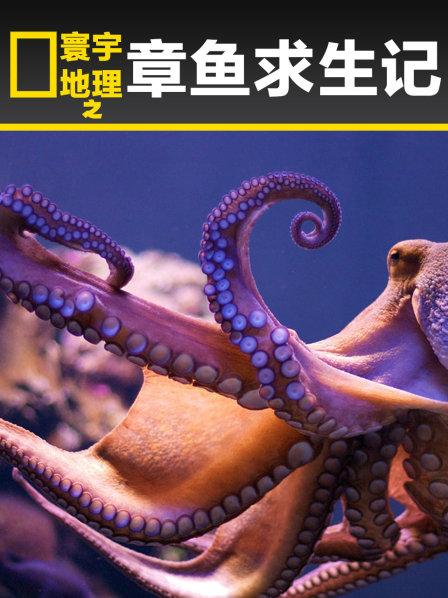 章鱼求生记