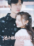 池小姐的乞丐总裁