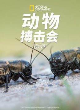 动物搏击会第6季