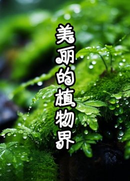 美丽的植物界