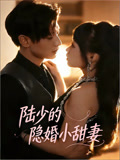 陆少的隐婚小甜妻