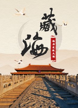 藏海的历史放大镜