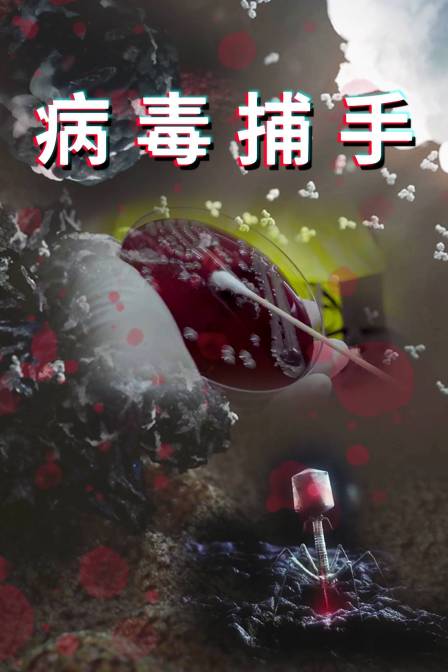 病毒捕手