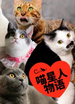 喵星人物语