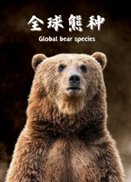 全球熊种
