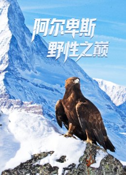 阿尔卑斯野性之巅