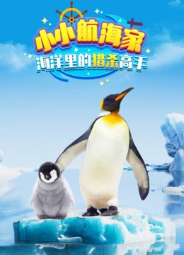 小小航海家海洋里的猎杀高手