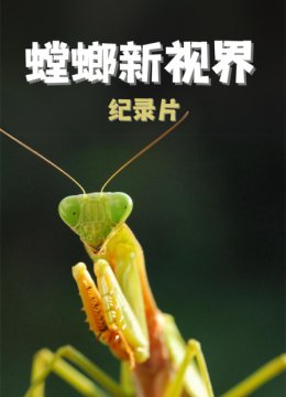 螳螂新视界纪录片
