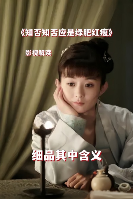 影视解读《知否知否应是绿肥红瘦》细品其中含义