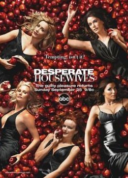 绝望主妇第2季