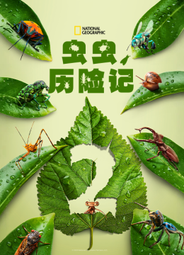 虫虫历险记第2季